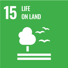 ODS 15 — Ecosistemas Terrestres